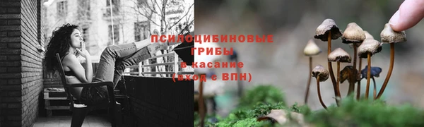 СК Армянск
